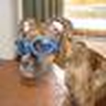 Profile Picture of Scott Andi Mia (@scott andi mia) on Flickr