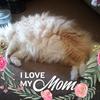 Profile Picture of Jamie Morehead765 (@@jamiemorehead0) on Tiktok