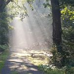 Doris jung - Instagram Profile Picture of Doris jung (@dorjun70) on Instagram