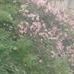 Profile Picture of Nurun Chowdhury (@nurun.chowdhury.10) on Facebook
