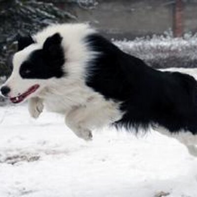 Profile Picture of Tony Foss (@TonyFoss) on Twitter