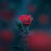 Profile Picture of Sor Paytas (@Sor-Paytas) on Facebook
