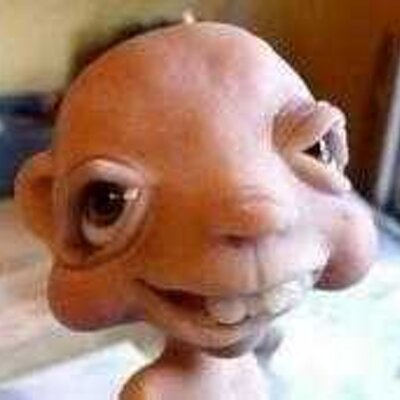 Profile Picture of Robert Leopard (@RobertLeopard) on Twitter