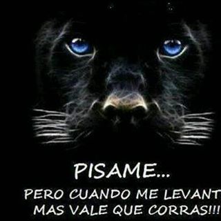 Profile Picture of Mark Risse (@mark.risse.79) on Facebook