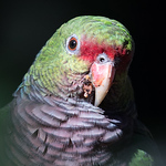 Profile Picture of Oliver Schmidt (@oliver-l.schmidt) on Flickr
