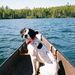 Profile Picture of Kevin Bergerson (@kevinbergerson) on Pinterest
