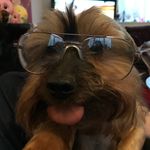 Profile Picture of Billy Irvine (@billirvine64) on Instagram