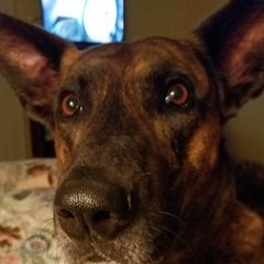 Profile Picture of Suzanne Berger (@suzanneberger) on Tiktok