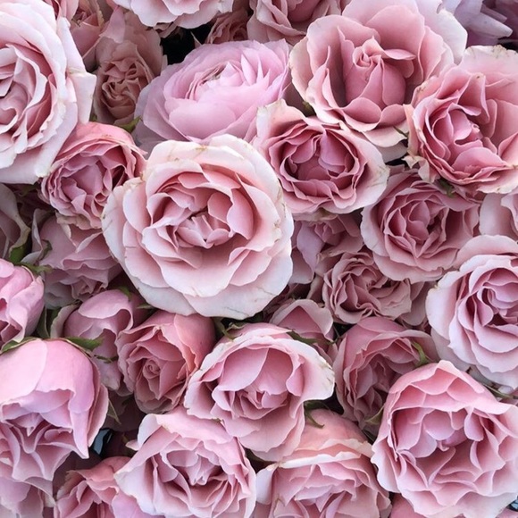 Profile Picture of Jenna Deverell (@jendevere) on Poshmark