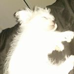 Profile Picture of Miriam Jasso (@jasso175) on Instagram