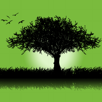 Profile Picture of Stefan Tucker (@StefanTucker) on Twitter