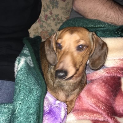 Profile Picture of Crystal Wallaceon Twitter
