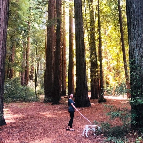 Profile Picture of Alicia Zamora (@araecke343) on Poshmark