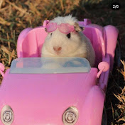 Profile Picture of Hannah Cahill (@hannahcahill8597) on Youtube