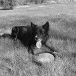 Jeff Bogner - Instagram Profile Picture of Jeff Bogner (@bognerjeff) on Instagram