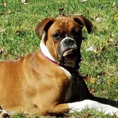 Profile Picture of Robert Ferran (@Bigr1968) on Twitter