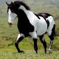 Profile Picture of Glenis Rodriguez (@glenis-rodriguez-5) on Quora