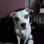 Profile Picture of Damon Meyer-Barrett (@damon_meyer_barrett) on Instagram