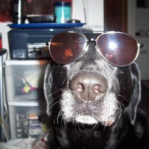 Profile Picture of Jasmine Rector (@jizzyjazzyjeff) on Myspace