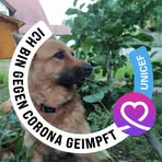 Profile Picture of Michael Proft (@Michael-Proft) on Facebook