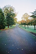 Profile Picture of Warfield Hallon Wikipedia