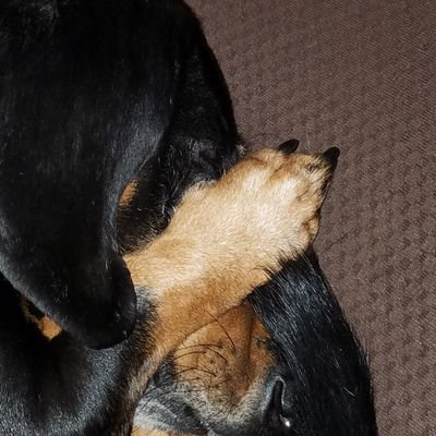 Profile Picture of Matthew Bucher (@Z3R0_Rahl) on Twitter