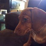 Profile Picture of Kevin Teeple (@hi_kevin2016) on Instagram