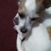 Profile Picture of Adam Burchfield (@adam.burchfield.10) on Facebook