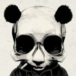 Profile Picture of Daniel Portilla (@danielportilla) on Instagram