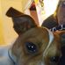 Profile Picture of Theodore Michaud (@theodore.michaud) on Facebook