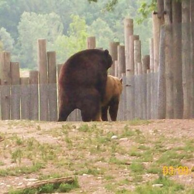 Profile Picture of JonathanGough (@JonathanGough) on Twitter