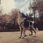 Profile Picture of Edison Orellana (@edison.orellana.j) on Instagram