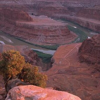 Profile Picture of Alison Ling (@MamaMells) on Twitter