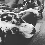 Profile Picture of Susan Graham Johnson (@the_momma_j) on Instagram