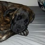 Profile Picture of Kenny Robertson (@krob1515) on Instagram