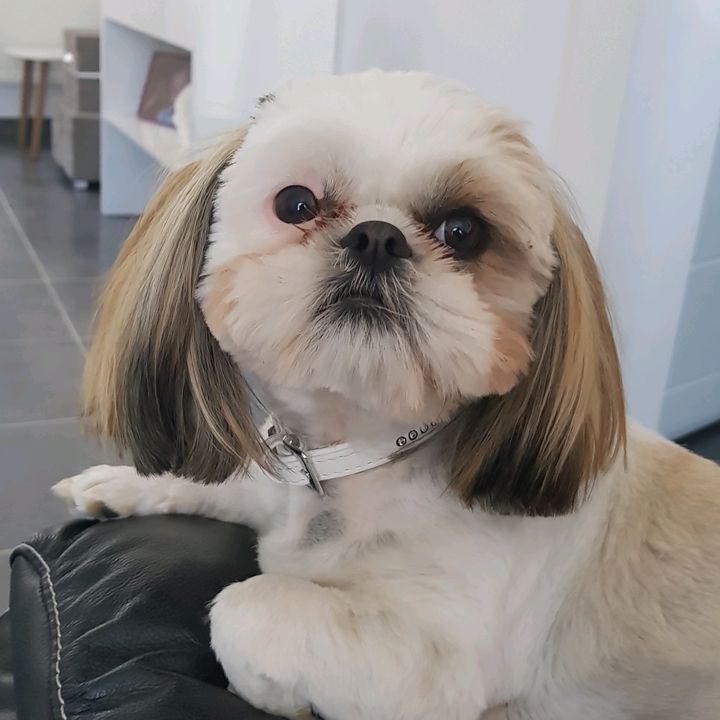 Profile Picture of Michael Debette (@.micko) on Tiktok