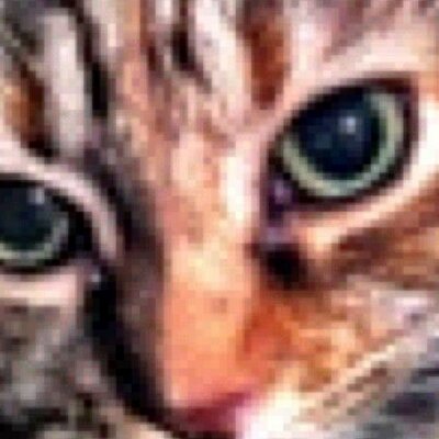 Profile Picture of Beverly Waters (@BevYoYummy) on Twitter