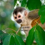 Profile Picture of David McMullin (@David-McMullin) on Facebook