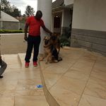 Profile Picture of k Odiga (@kenneth.odiga.1) on Instagram