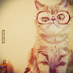 Profile Picture of Ivan A. Garcia (@alex_gar1885) on Flickr