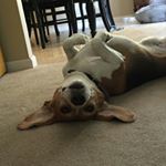Profile Picture of Linus Love Zajdzinski (@linus.love) on Instagram