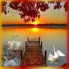 Profile Picture of Barbara Rinser (@@barbararinser) on Tiktok