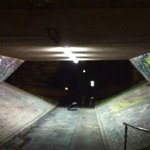 Profile Picture of Frédéric Larsen (@metooism) on Instagram