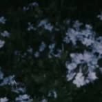 Profile Picture of Juan Kriletich (@juansegundo.kriletich) on Facebook