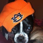 Profile Picture of Blake McClure (@blakeaufan) on Instagram