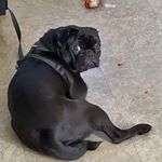 Profile Picture of jesse ambriz (@ambriz_jesse) on Instagram