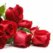 Zuzana Dobrikova - Youtube Profile Picture of Zuzana Dobrikova (@sisa452) on Youtube