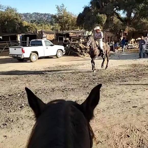 Profile Picture of Salvador Jimenez (@mexhomie27) on Poshmark