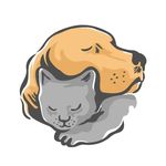 Profile Picture of Save The Animals maroc (@save_cats_dogs_) on Instagram