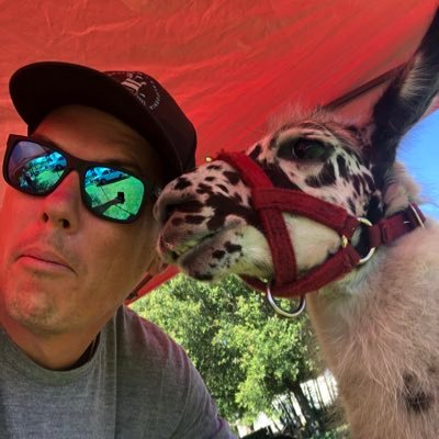 Profile Picture of Matt Grier (@notmattg) on Twitter